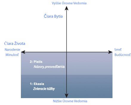 stavy-vedomi